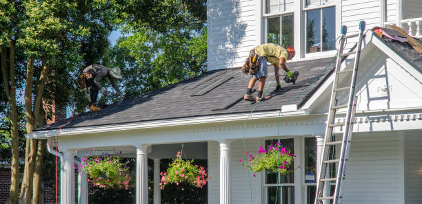 Roof Gutter Cleaning in Norwood, NJ